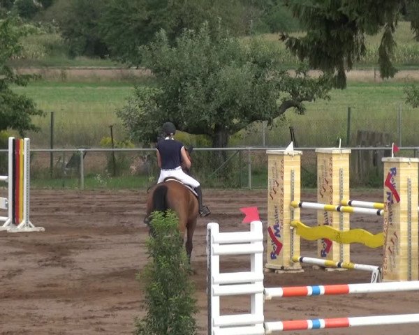 Reitturnier Heidelberg-Kirchheim 2019