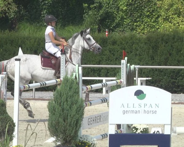 Reitturnier Durmersheim-Hardt 2019