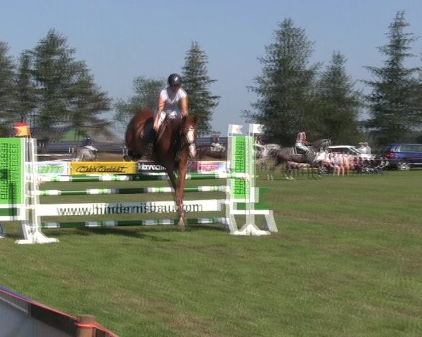 Reitturnier Löwenstedt 2019