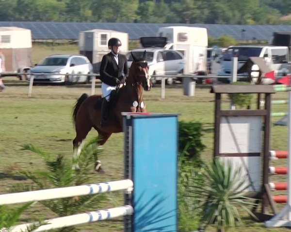 Reitturnier Reckahn 2019