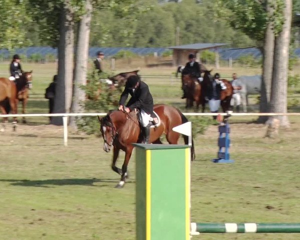 Reitturnier Reckahn 2019