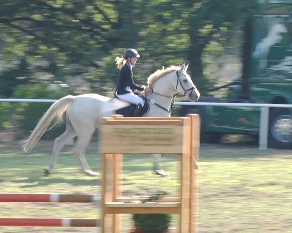 Reitturnier Reckahn 2019