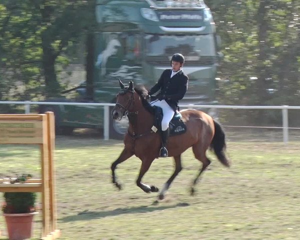Reitturnier Reckahn 2019