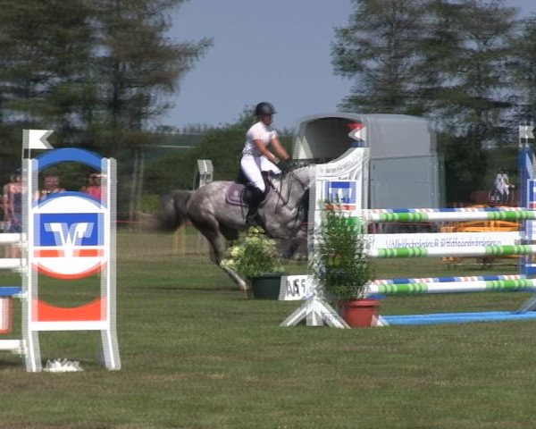 Reitturnier Löwenstedt 2019