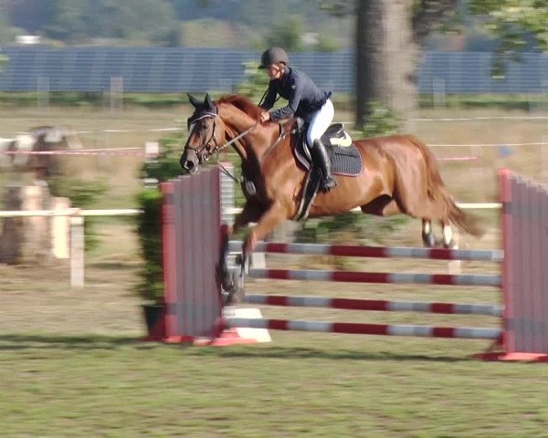 Reitturnier Reckahn 2019
