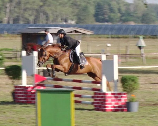 Reitturnier Reckahn 2019