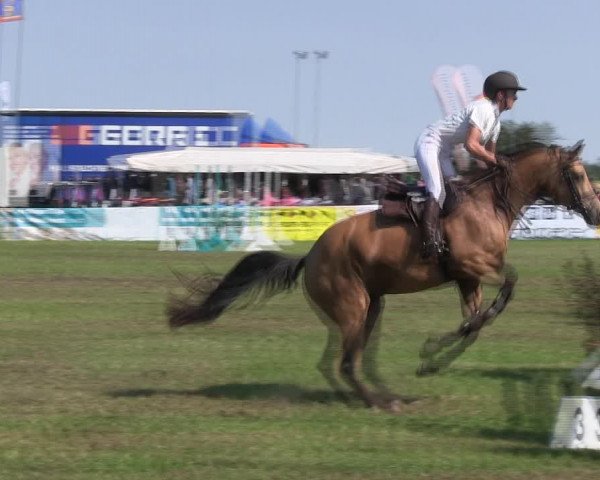 Reitturnier Löwenstedt 2019