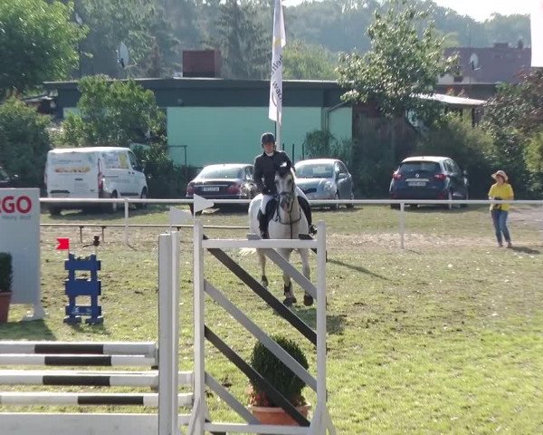 Reitturnier Reckahn 2019