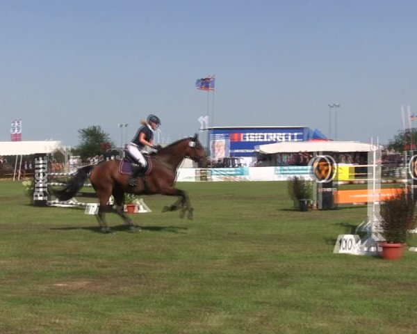 Reitturnier Löwenstedt 2019