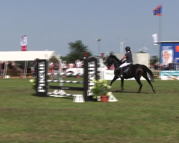 Reitturnier Löwenstedt 2019