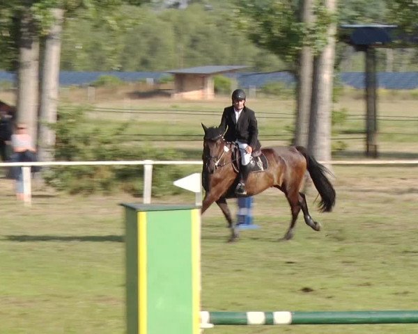 Reitturnier Reckahn 2019