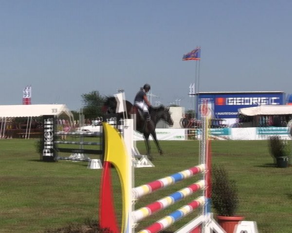 Reitturnier Löwenstedt 2019