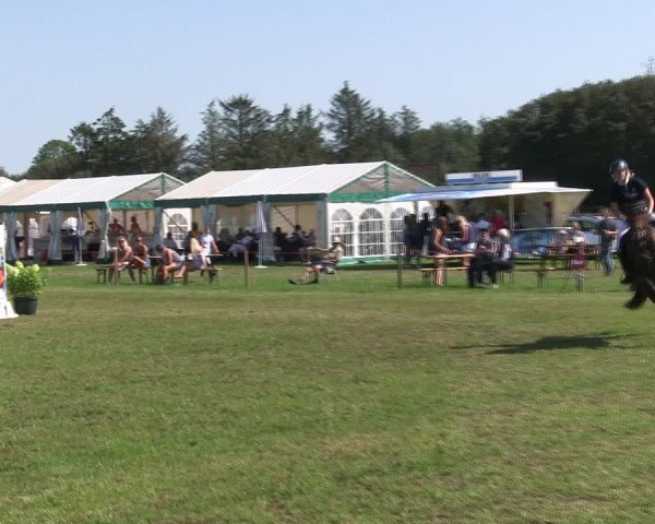 Reitturnier Löwenstedt 2019