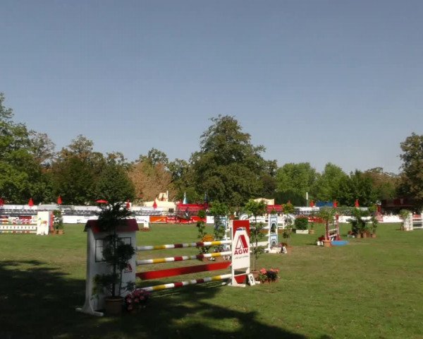 Reitturnier Aschersleben 2019