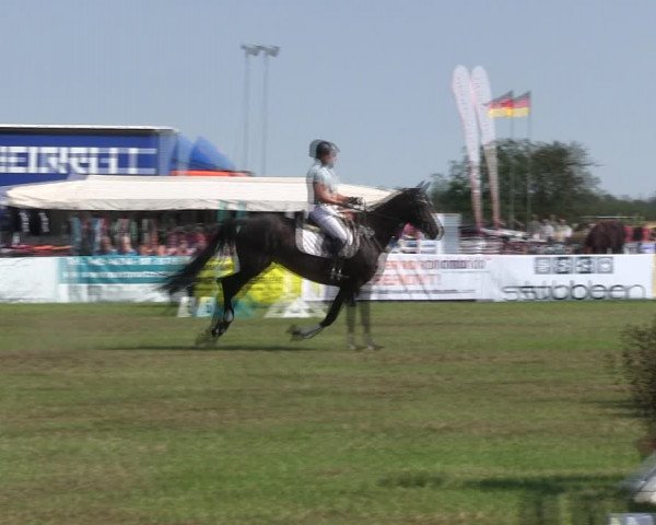 Reitturnier Löwenstedt 2019