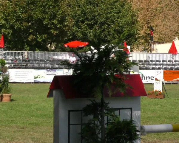 Reitturnier Aschersleben 2019