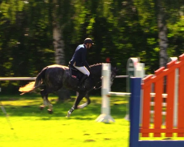 Reitturnier Berlin-Malchow 2019