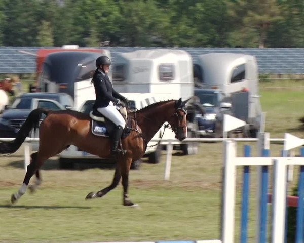 Reitturnier Reckahn 2019