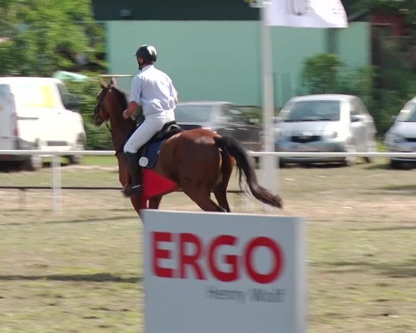 Reitturnier Reckahn 2019