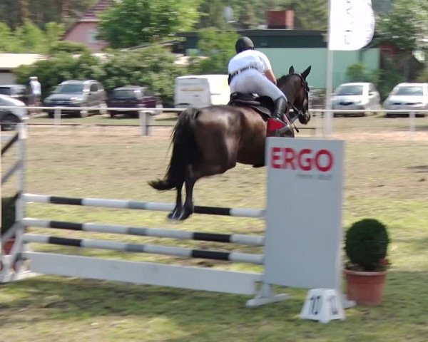 Reitturnier Reckahn 2019