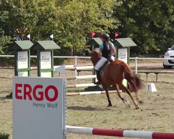 Reitturnier Reckahn 2019