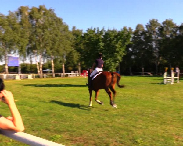 Reitturnier Berlin-Malchow 2019