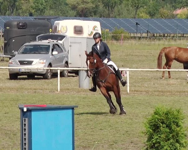 Reitturnier Reckahn 2019
