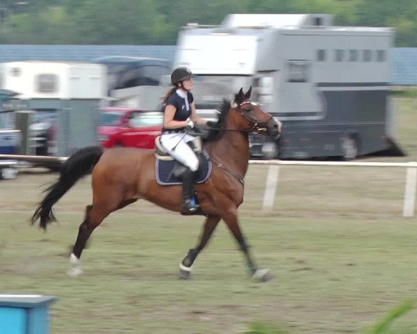 Reitturnier Reckahn 2019