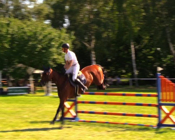 Reitturnier Berlin-Malchow 2019