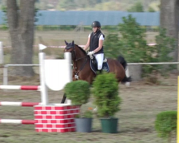 Reitturnier Reckahn 2019