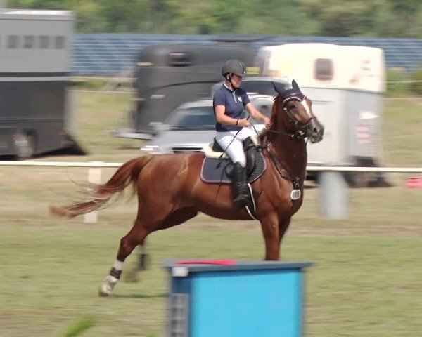 Reitturnier Reckahn 2019