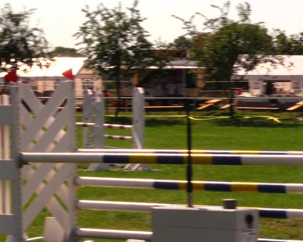 Reitturnier Berlin-Malchow 2019