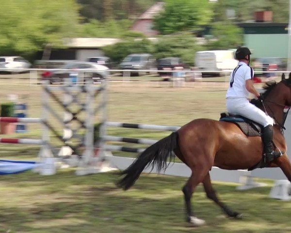 Reitturnier Reckahn 2019