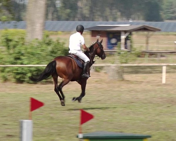 Reitturnier Reckahn 2019