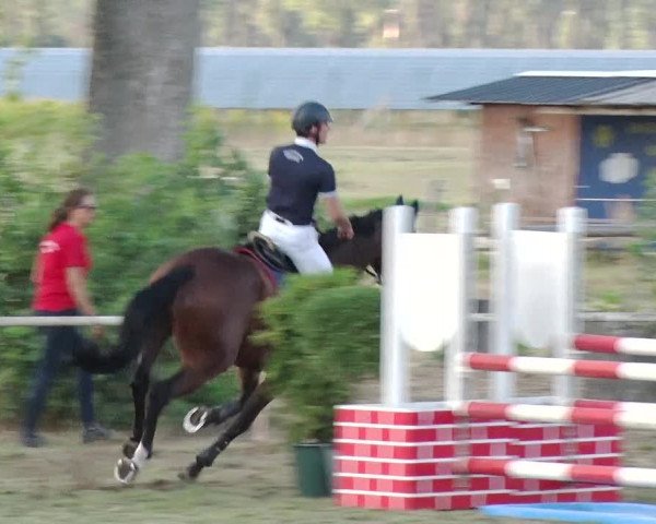 Reitturnier Reckahn 2019