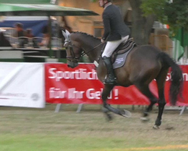 Reitturnier Aschersleben 2019