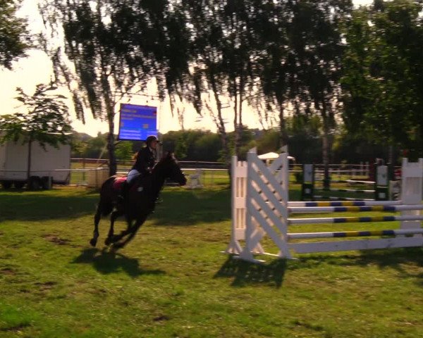 Reitturnier Berlin-Malchow 2019