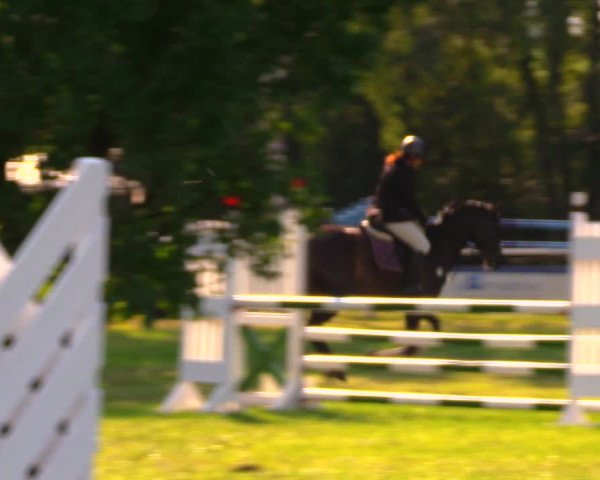 Reitturnier Berlin-Malchow 2019