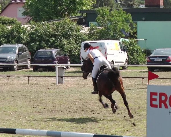 Reitturnier Reckahn 2019