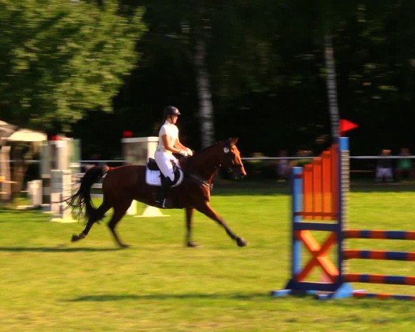 Reitturnier Berlin-Malchow 2019