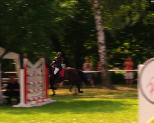 Reitturnier Berlin-Malchow 2019
