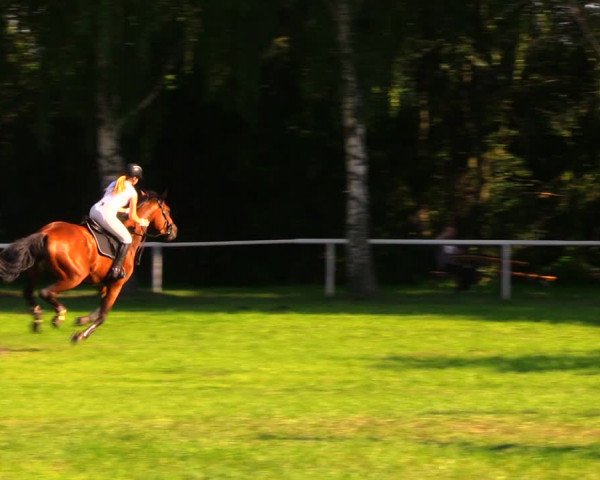 Reitturnier Berlin-Malchow 2019