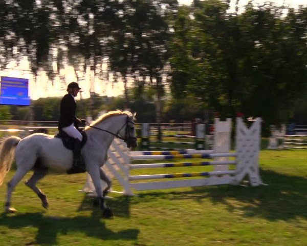 Reitturnier Berlin-Malchow 2019