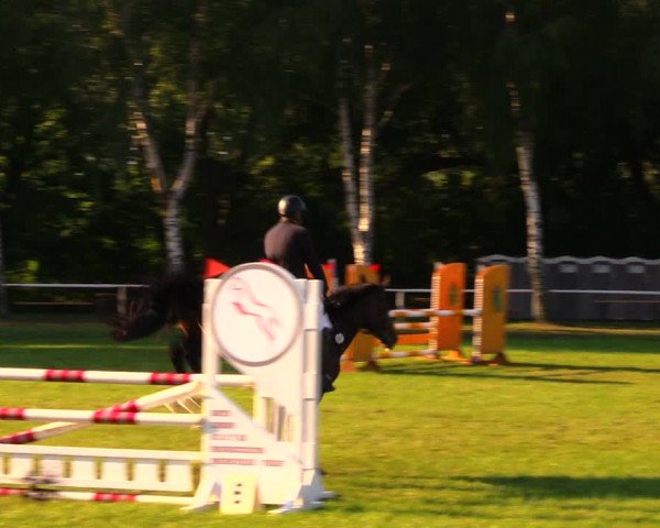 Reitturnier Berlin-Malchow 2019