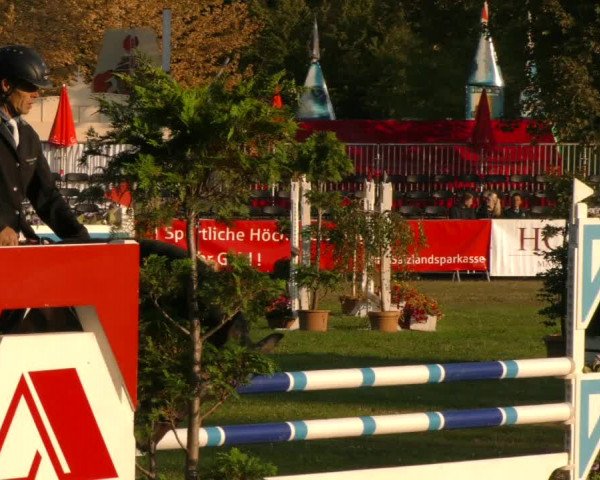 Reitturnier Aschersleben 2019