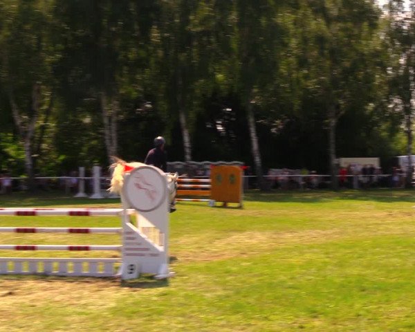 Reitturnier Berlin-Malchow 2019