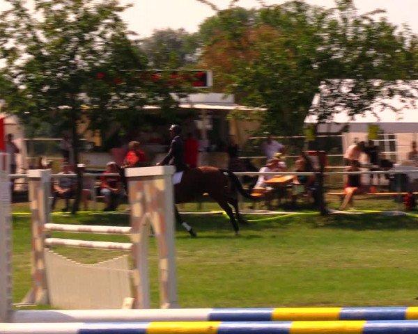 Reitturnier Berlin-Malchow 2019