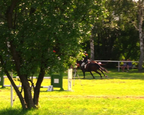 Reitturnier Berlin-Malchow 2019