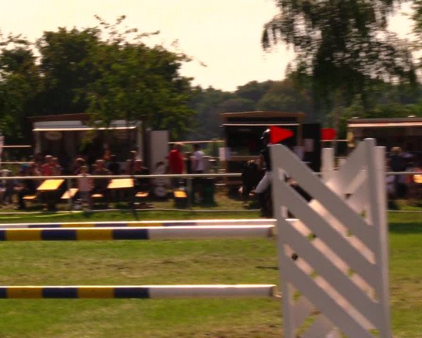 Reitturnier Berlin-Malchow 2019