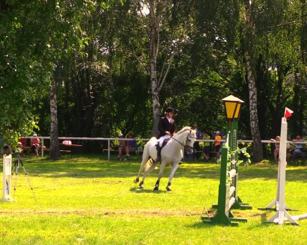 Reitturnier Berlin-Malchow 2019